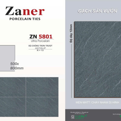 Zaner 50x80